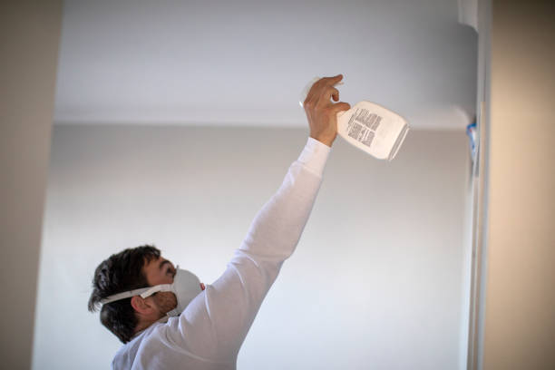 Best Basement Mold Remediation in China Grove, TX