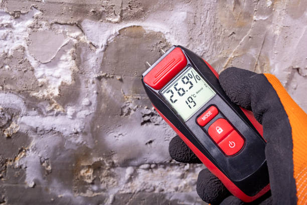 Best Mold Remediation for Schools in China Grove, TX